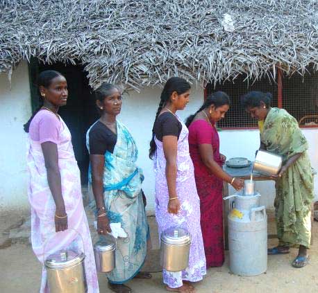 Milk collection from members