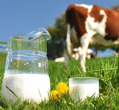 Milk processing