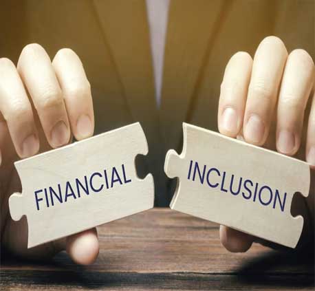 Financial Inclusion
                            